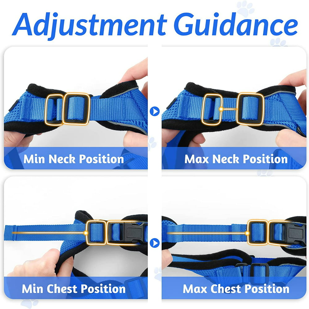 Blue Escape Proof Cat Harness and Leash & Vest