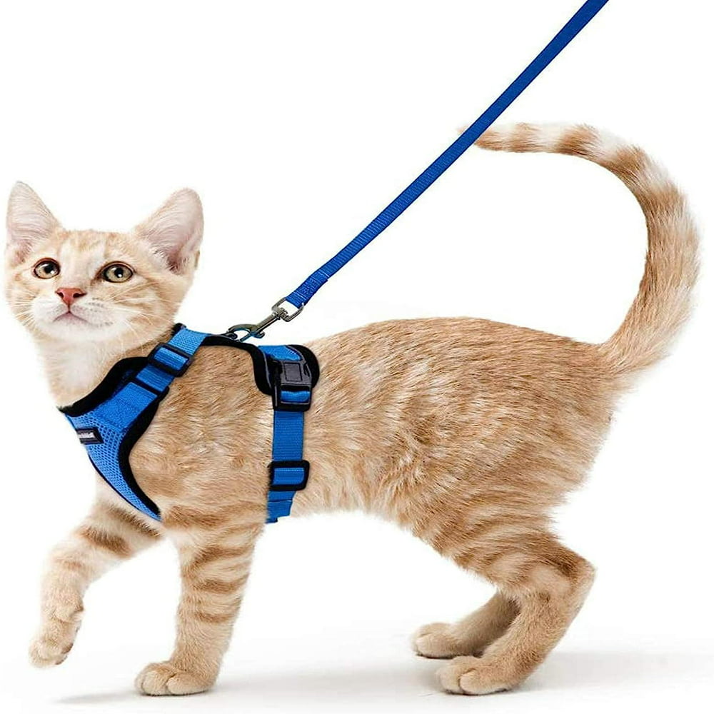 Blue Escape Proof Cat Harness and Leash & Vest