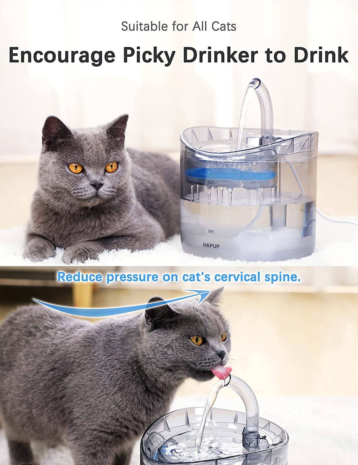 Cat Water Fountain with 2 Replacement Filters