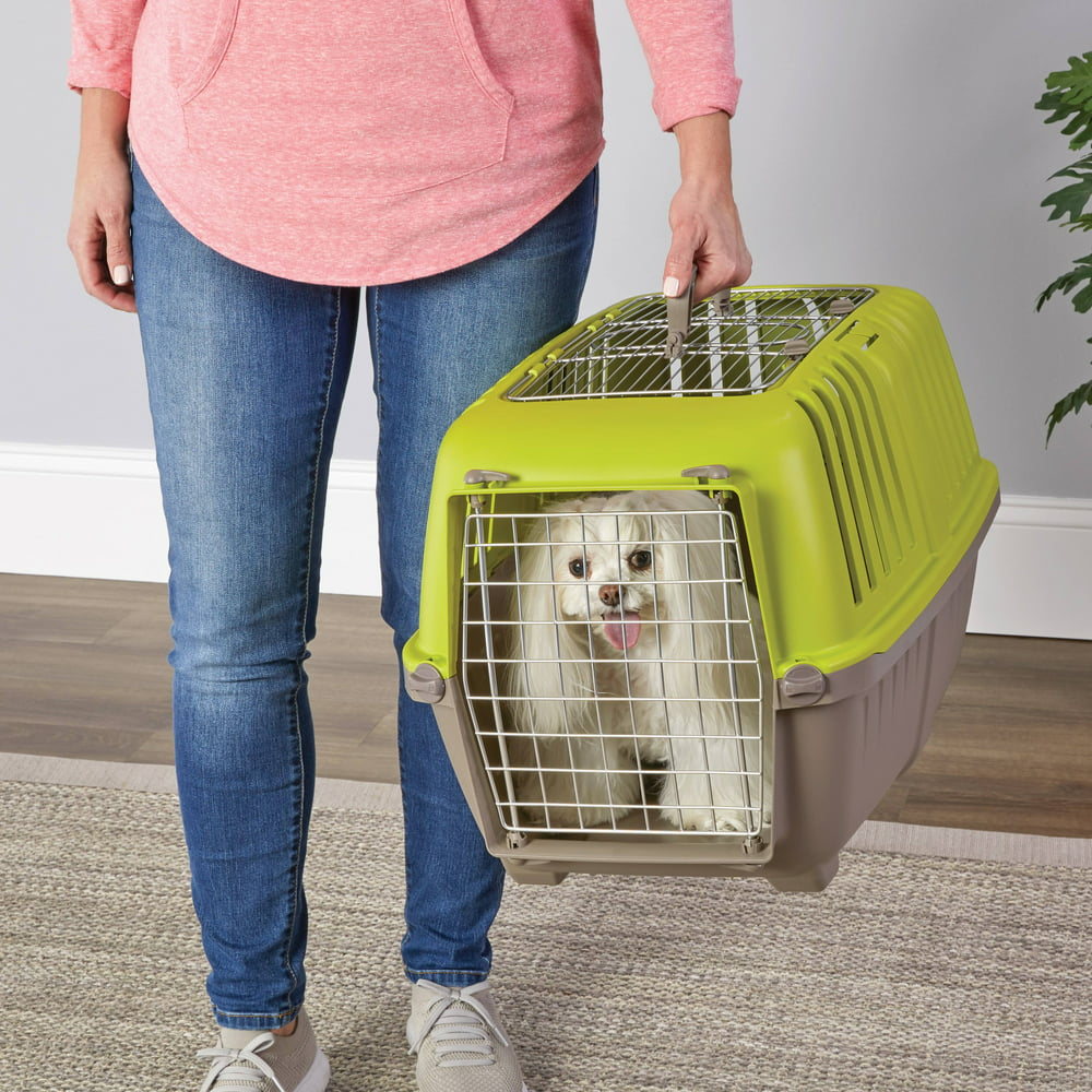 Green 2-Door Top Load Pet Carrier for Cat or Small Dog