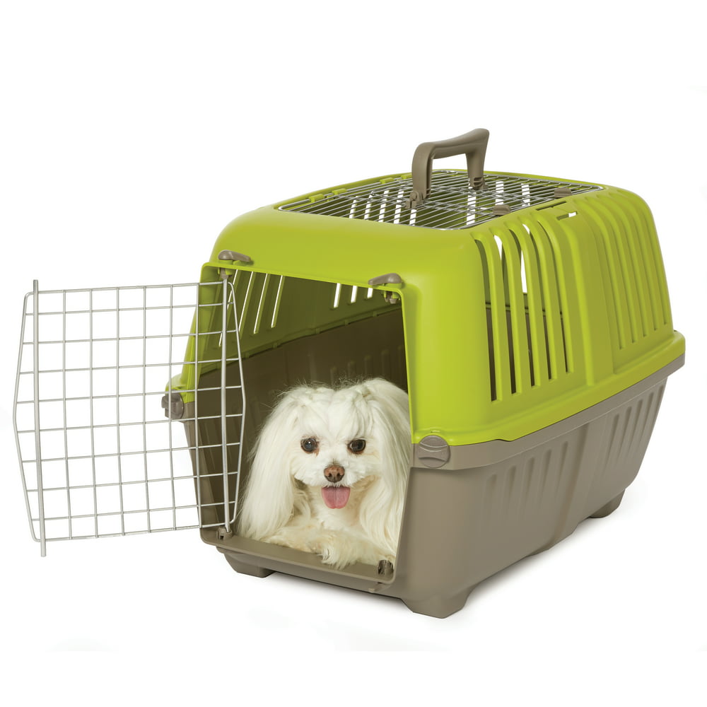 Green 2-Door Top Load Pet Carrier for Cat or Small Dog