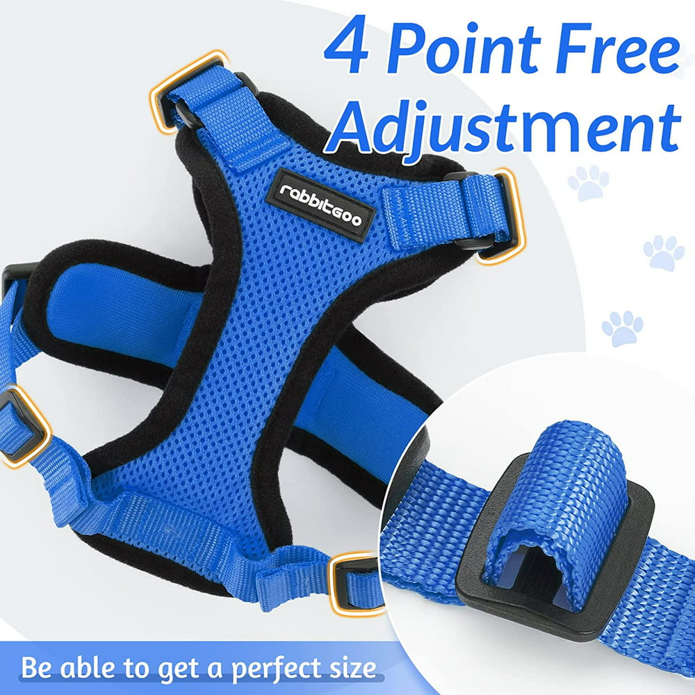 Blue Escape Proof Cat Harness and Leash & Vest 