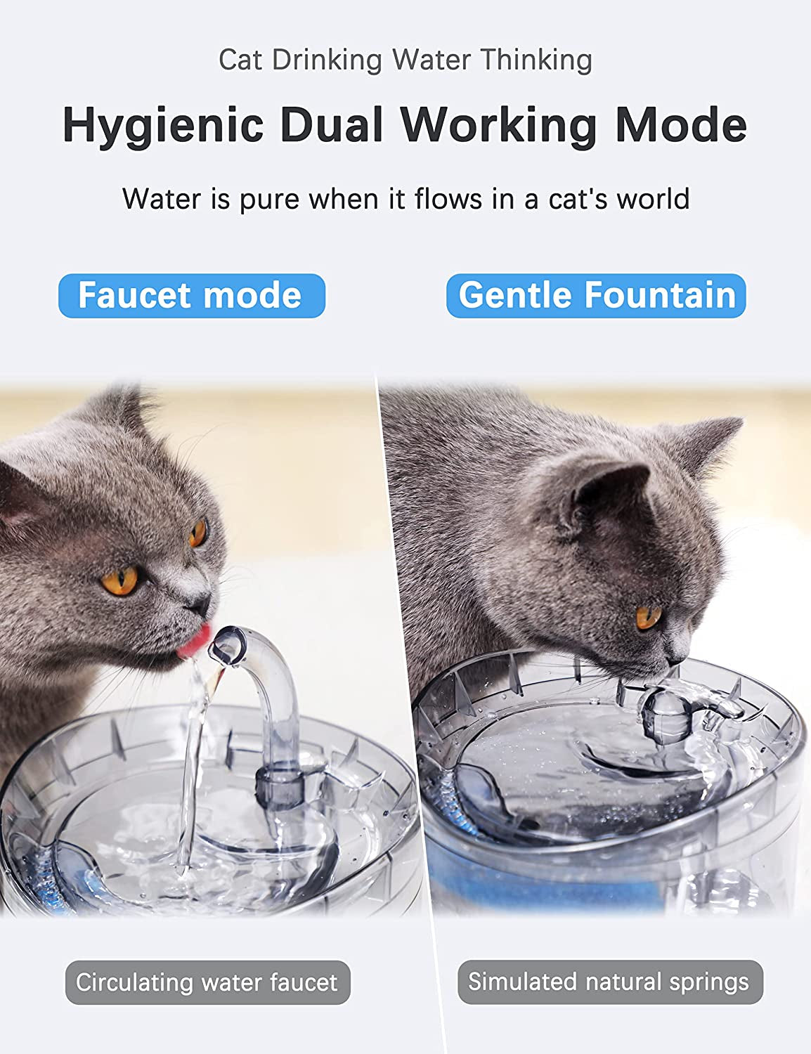 Cat Water Fountain with 2 Replacement Filters