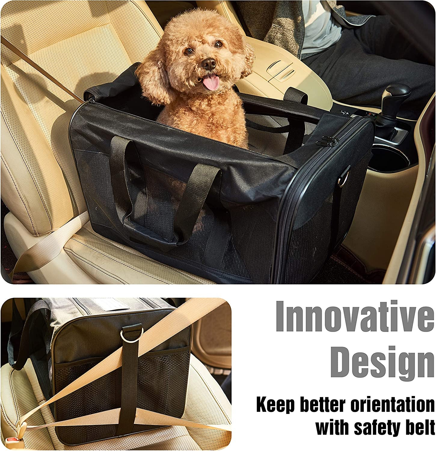 Travel Pet Carrier for Cats