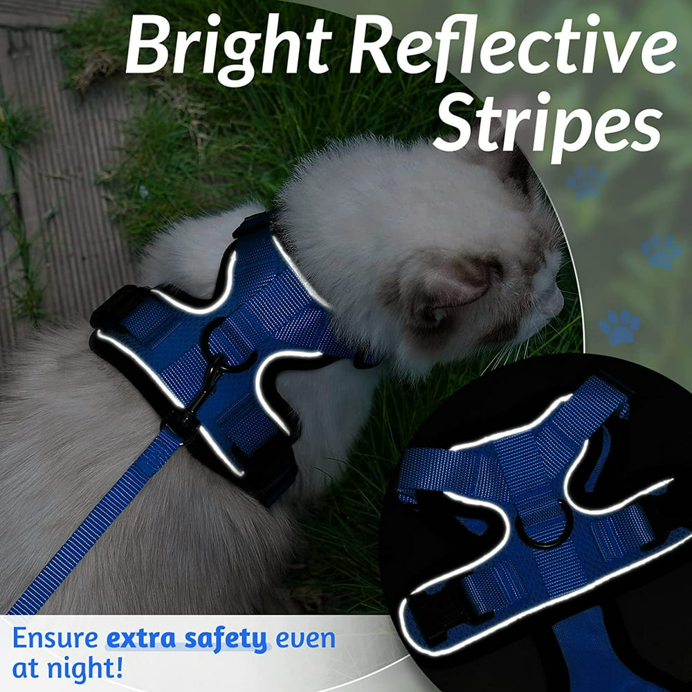 Blue Escape Proof Cat Harness and Leash & Vest 