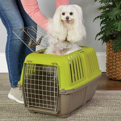 Green 2-Door Top Load Pet Carrier for Cat or Small Dog